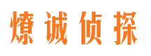 樊城出轨调查